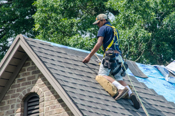 Best Roof Gutter Cleaning  in Tigard, OR